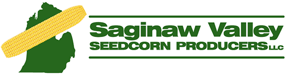 Saginaw Valley logo