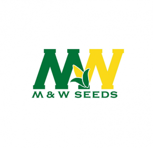M&W logo sized