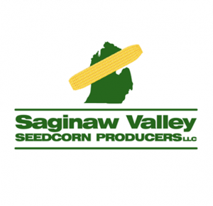Saginaw Valley logo sized